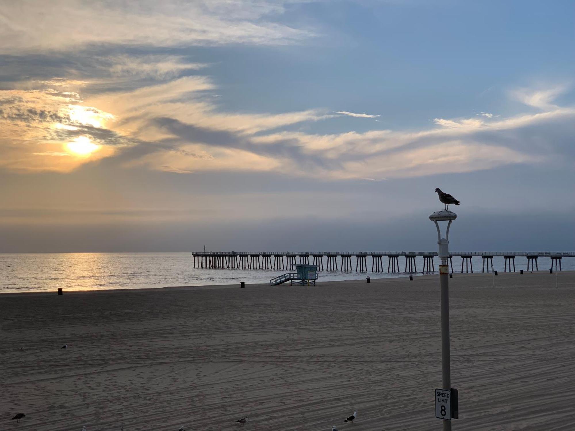 The Vurpillat Hotell Hermosa Beach Eksteriør bilde